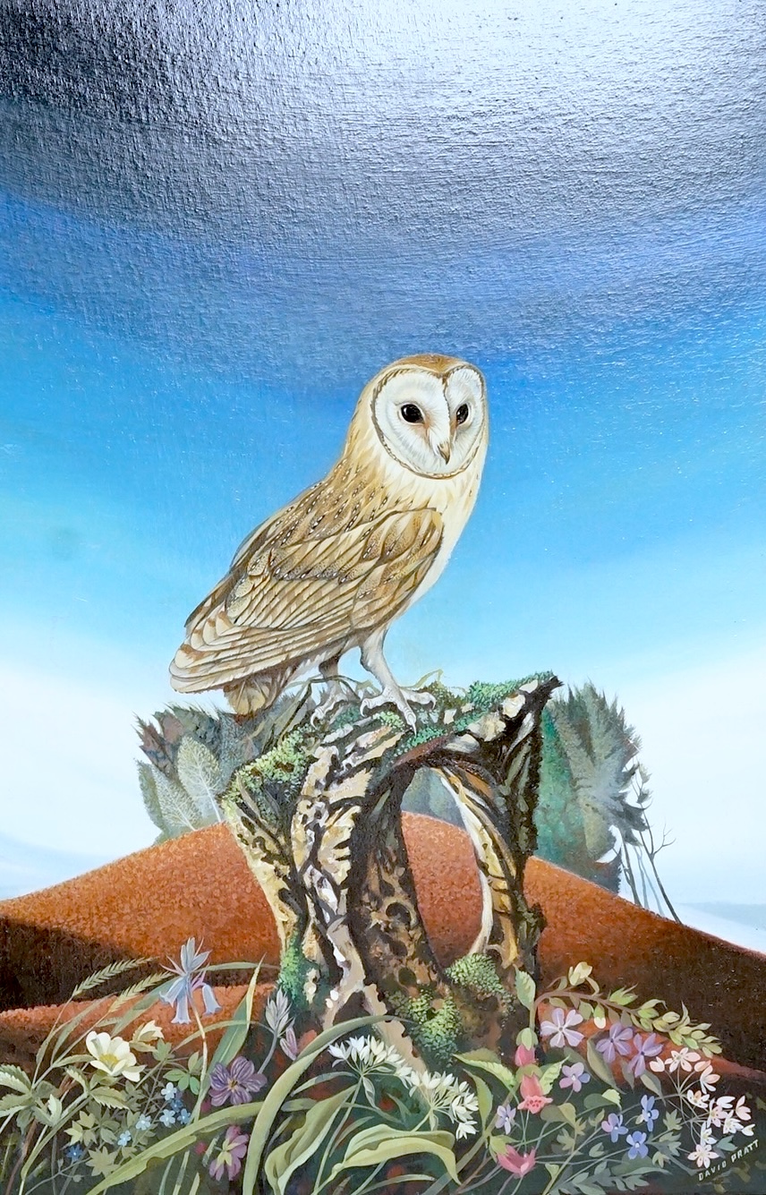 David Pratt (contemporary), ‘Barn owl, May in Cornwall’, signed, exhibited at the Mall Galleries in '1981' according to the inscribed label verso, oil on board, 77 x 50cm